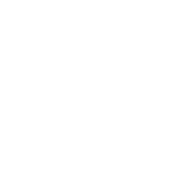 پایداری سبز